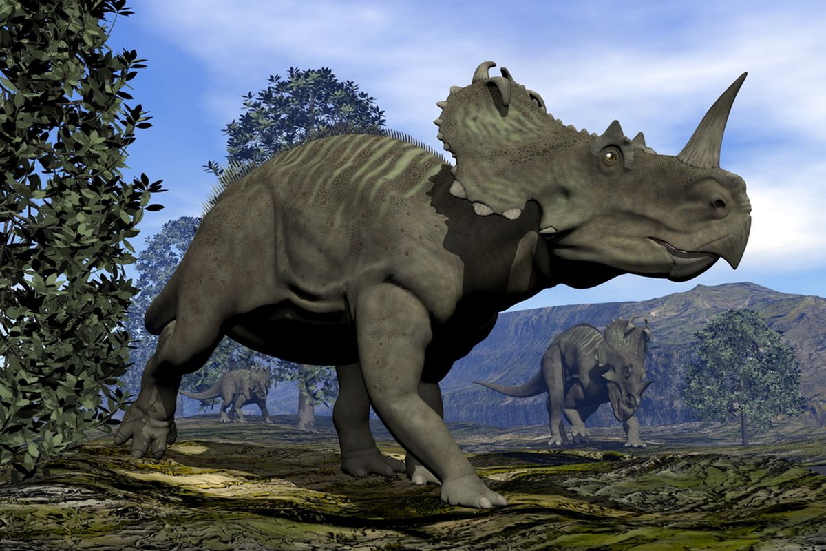 Ilustrasi dinosaurus Centrosaurus. Dinosaurus adalah hewan yang dapat tumbuh sangat besar, yang pernah hidup jutaan tahun lalu.