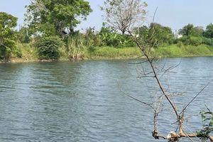 Sungai Ciujung di Serang Kembali Hitam dan Bau Menyengat, DLHK Banten Telusuri Sumber Pencemaran