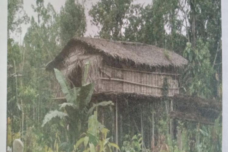 Rumah masyarakat Suku Korowai yang dibangun di atas tiang-tiang tinggi di atas 5 meter di wilayah Papua Selatan.
