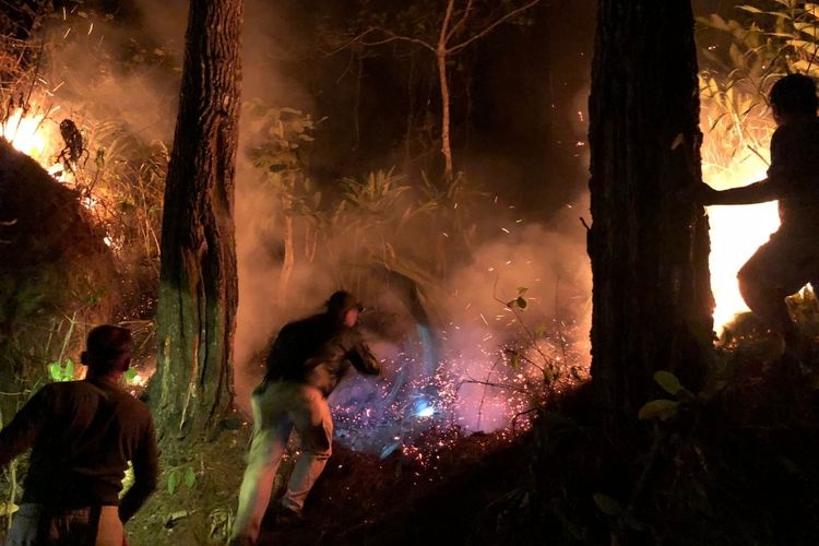 Petugas dan relawan sedang melakukan pemadaman api dengan metode tradisional yaitu dengan Gepyokan, Minggu (5/11/2023) malam. Lokasi kebakaran di Perbukitan Menoreh Kabupaten Purworejo Jawa Tengah 