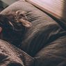 Apa Itu Gangguan Tidur Sexsomnia yang Disebut Juga Seks Tidur? 