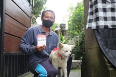 21.052 Ekor Anjing di Buleleng Divaksinasi untuk Cegah Rabies