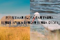 Perbedaan Flora dan Fauna Benua Afrika dengan Benua Eropa