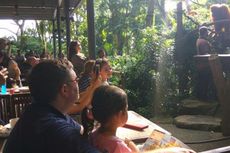 Sarapan Bersama Keluarga Orangutan di Singapore Zoo