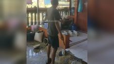 Pegawai BUMN Nyabu Ngamuk Bawa Badik di Makassar, Aniaya Istri gara-gara Uang Susu Anak Rp 300.000