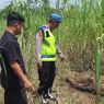 Kerangka Manusia di Temukan Di Kebun Tebu Pemalang