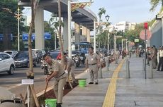 Perbaiki Kualitas Udara, 137 Pohon Tabebuya Ditanam di Jalan Rasuna Said