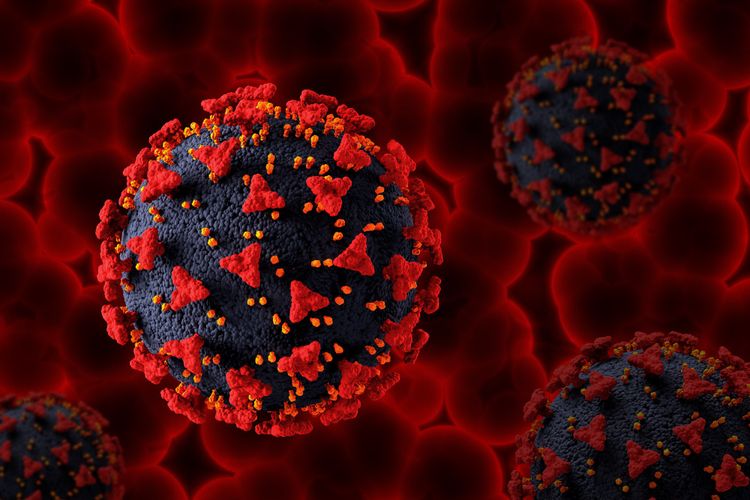 Ilustrasi Omicron siluman, subvarian BA.1, subvarian BA.2, subvarian BA.3, subvarian Omicron.
