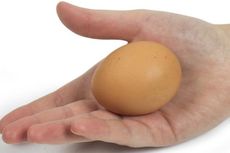 Polisi NTT Gagalkan Penjualan Ribuan Butir Telur Busuk