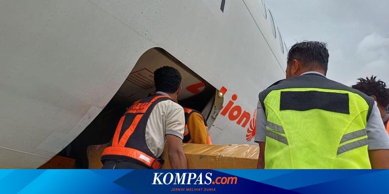 Mengenal Kisah Persahabatan Abadi Lilie dan Elsa di Puncak Carstensz Pyramid