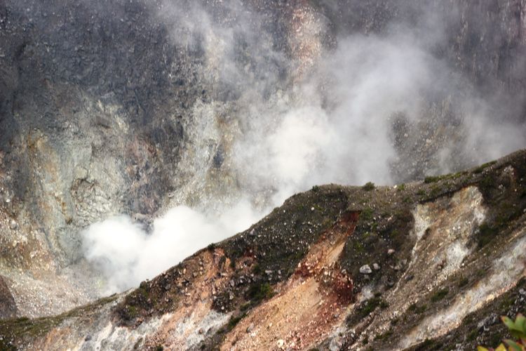 Aktivitas vulkanis kawah Taman Nasional Gunung Gede Pangrango
