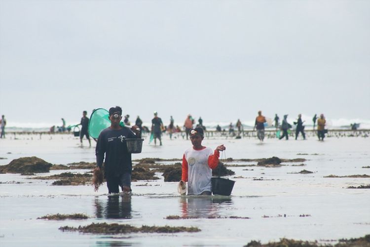 warga dengan riang gembira menyambut Putri Mandalika di sepanjang pantai selatan Pulau Lombok , untuk menangkap nyale Atau cacing laut,