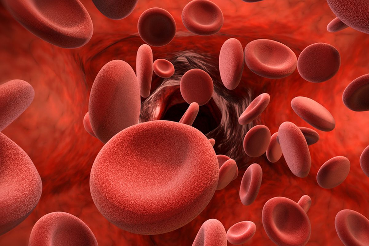 Ilustrasi hemoglobin, hemoglobin tinggi. 