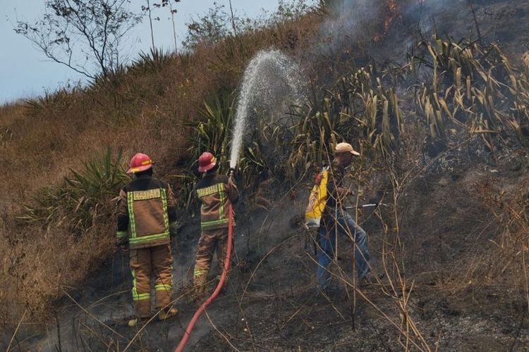 Sejumlah petugas berupaya memadamkan api yang membakar lahan hutan di Gunung Guntur, Kabupaten Garut, Jawa Barat, Kamis (7/9/2023). 