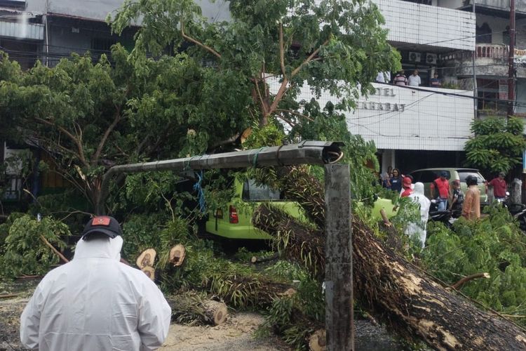 Cuaca Buruk di Ambon, Mobil Angkot Rusak Tertimpa Pohon