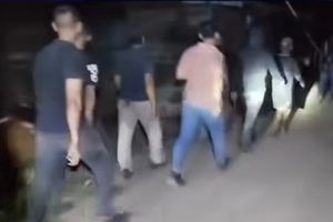 Satu Kompi TNI Diduga Gondol Belasan Lembu di Labuhanbatu, Korban Buka Suara