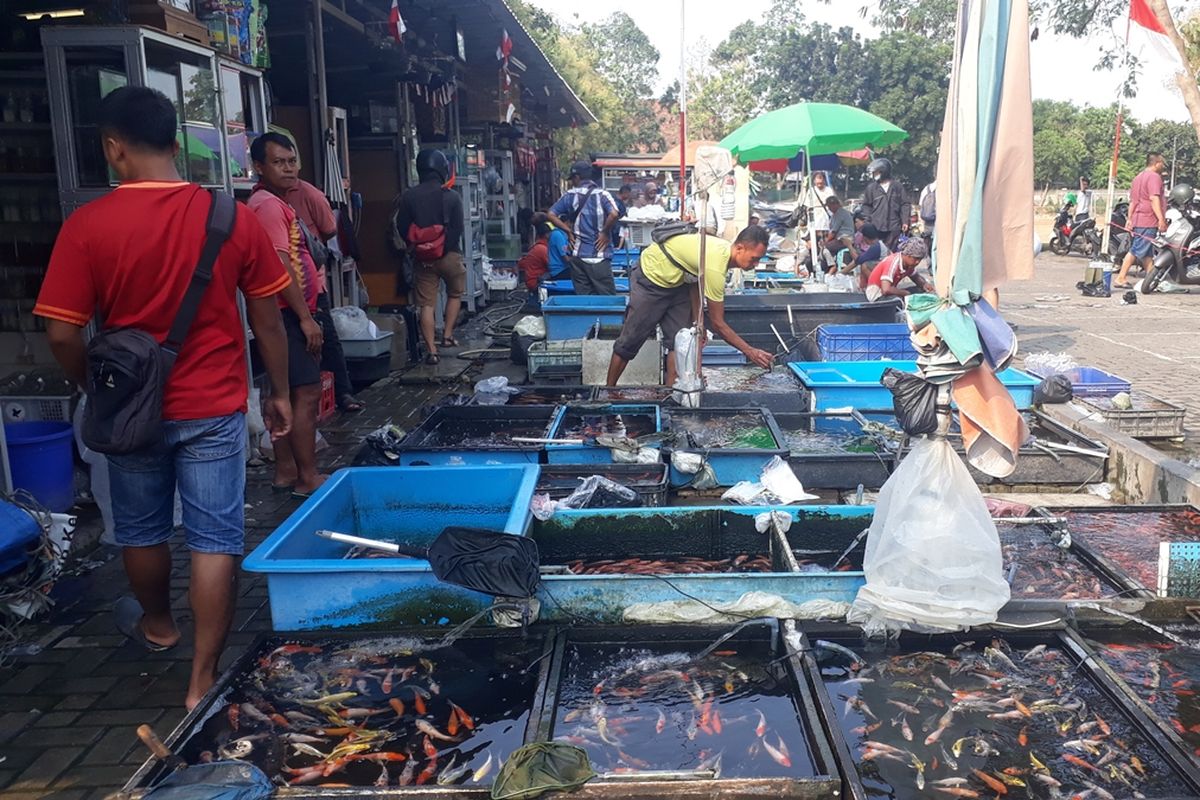 Pasar Ikan Jenderal Urip, Jatinegara, Jakarta Timur, Kamis (31/10/2019).