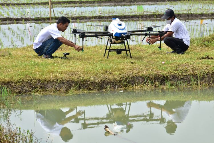 Operator Drone Pertanian tengah mempersiapkan pesawat nirawak yang berukuran sekitar 1 meter lebih itu untuk mengudara membawa pupuk cair organik sebanyak 10-15 liter untuk disiramkan ke tanaman padi di lahan sawah di Sumber Sari, Ciparay, Kabupaten Bandung, Rabu (1/12/2021).
