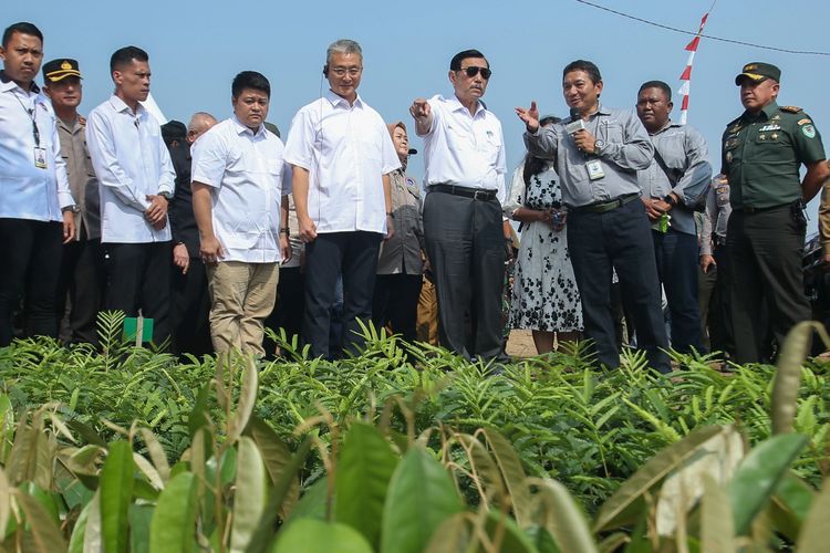 Menteri Koordinator (Menko) Bidang Kemaritiman dan Investasi (Marves) Luhut Binsar Panjaitan saat berkunjung ke persemaian pohon untuk ditanam di DAS Citarum, Cililin, Bandung Barat, Selasa (29/8/2023).