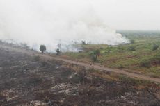 BNPB Dinilai Layak Jadi Kementerian agar Fokus Antisipasi Bencana