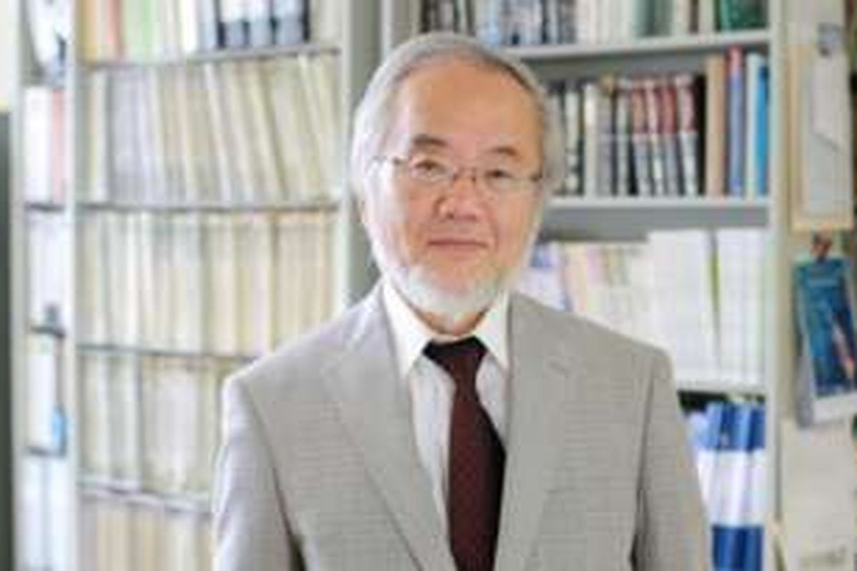 Yoshinori Ohsumi, ahli biologi dari Jepang.