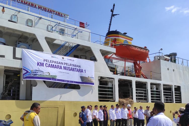 Kapal Cemara Nusantara 1, mengangkut 550 sapi dari Pelabuhan Tenau Kota Kupang, menuju Pelabuhan Tanjung Priok, Jakarta, Selasa (20/6/2023) 