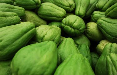 Resep Sayur Bobor Labu Siam, Nikmati dengan Sambal Terasi Halaman ...