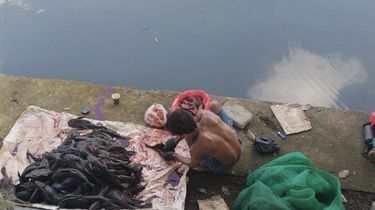 Hanya Pakai Sendok, 5 Pria yang Diamankan Satpol PP Terlatih Menyiangi Ikan Sapu-sapu