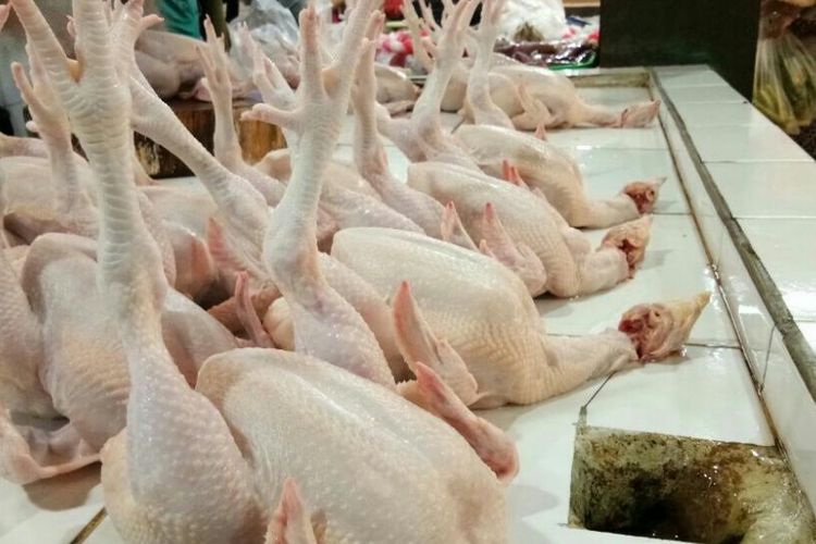 Pedagang: Harga Daging Ayam Naik Rp 1.000 Saja Pembeli Ngeluh, Ini Naiknya  Luar Biasa, Jadi Sepi Halaman all - Kompas.com