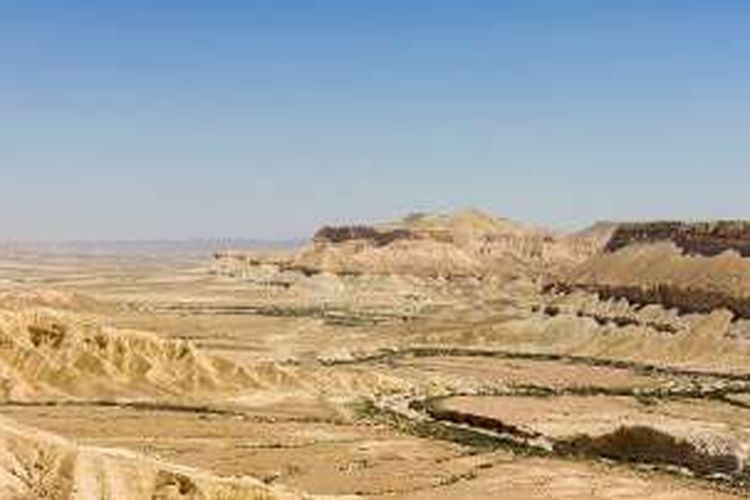 Gurun Negev, Israel.