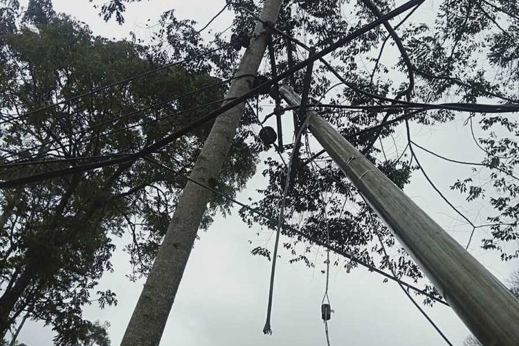 Petugas PLN tengah memperbaiki tiang listrik yang tumbang tertimpa pohon akibat hujan deras disertai angin yang terjadi Kecamatan Rancabali, Kabupaten Bandung, Jawa Barat pada Sabtu (9/3/2024)