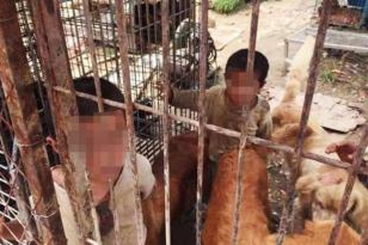 Dua orang bocah di kota Nanjing, China ditemukan hidup di dalam kandang anjing setelah ditelantarkan kedua orangtuanya.