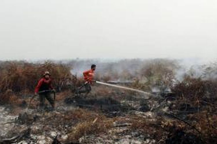 Anggota Manggala Agni sedang sibuk memadamkan api yang menyala secara sporadis di Suaka Margasatwa Kerumutan, Rabu (28/10/2015).