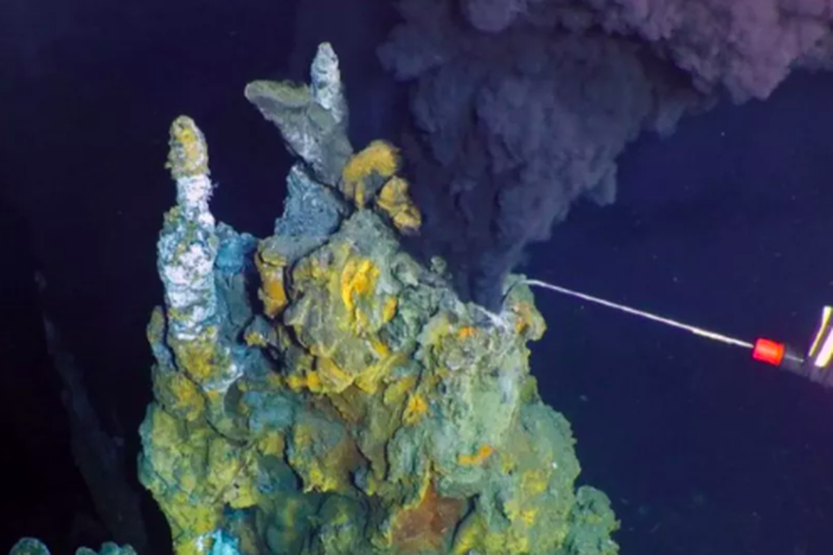 Ventilasi hidrotermal yang baru ditemukan di kedalaman Pasifik