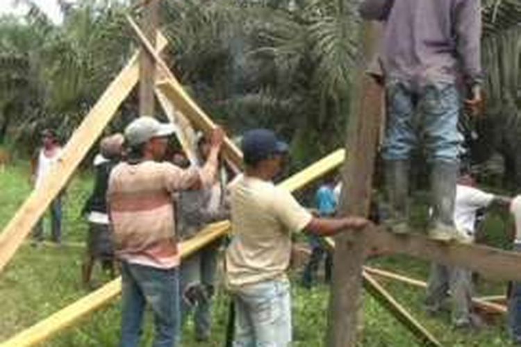 Bersenjata parang panjang ratusan petani asal desa godang, kabupaten mamuju utara, provinsi sulawesi barat menduduki secara paksa 200 hektar lahan kebun sawit yang selama ini digarap salah satu perusahaan.