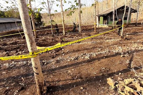 Sedang Mencangkul, Warga Temukan Kerangka Manusia di Tengah Hutan Jati