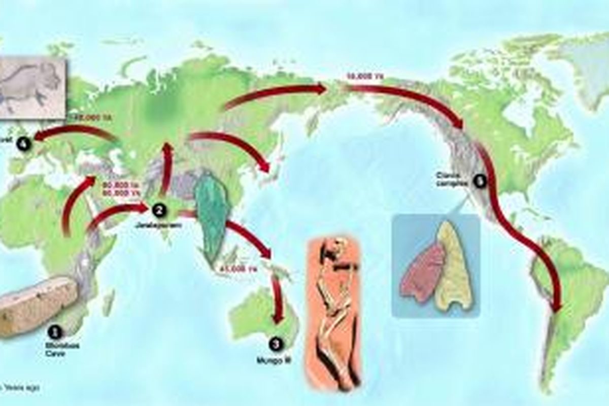 Ilustrai migrasi manusia ke luar Afrika. 