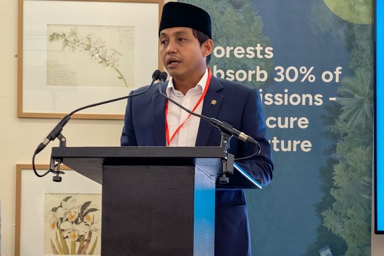 Menhut Bentuk Kawasan Preservasi 87.000 Hektare untuk Orangutan di Kaltim