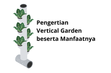 Pengertian Vertical Garden beserta Manfaatnya