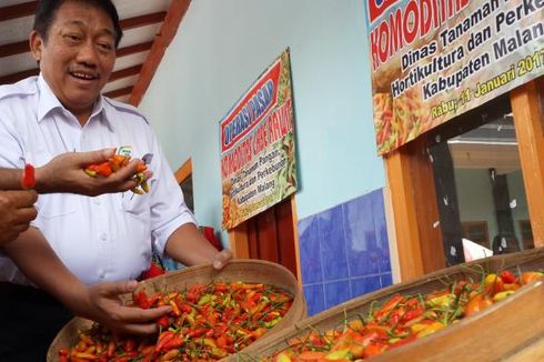 Kementan Jaga Pasokan dan Harga Cabai Jelang Ramadhan dan Idul Fitri 2017