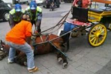 Beberapa Kuda Penarik Andong Terpeleset di Kilometer Nol Yogyakarta