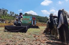 Lestarikan Orang-orangan Sawah, Warga Gunungkidul Gelar Festival 