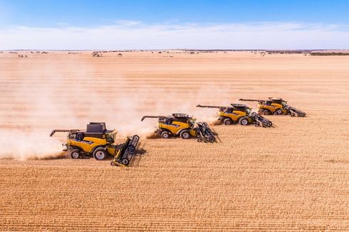 Australia Kekurangan Petani, PNS Ditawari Cuti Berbayar untuk Bantu Panen