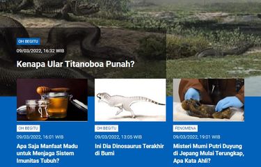 POPULER SAINS] Kenapa Ular Titanoboa Punah? | Manfaat Madu Menjaga ...