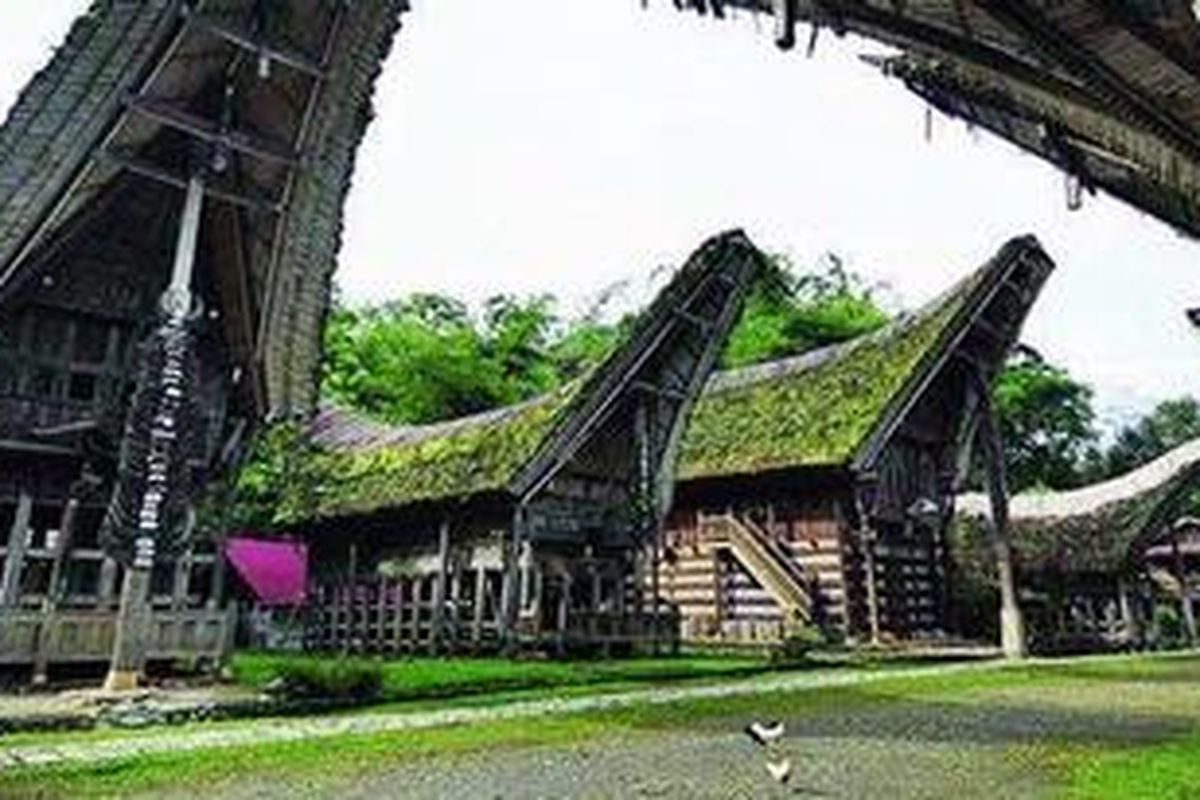 Tongkonan yang telah berumur ratusan tahun berdiri megah di permukiman Kampung Kete Kesu, Rantepao, Toraja Utara, Sulawesi Selatan, Rabu (29/12/2010). Bagi masyarakat Toraja, tongkonan merupakan sumbu peradaban, tempat semua upacara adat, baik yang bersifat duka maupun bahagia, dilangsungkan.