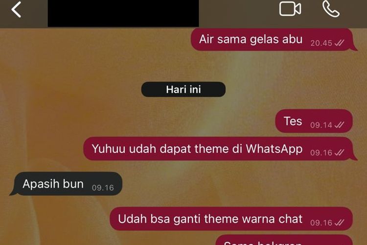 Tampilan fitur Tema Chat yang bisa mengubah warna bubble chat WhatsApp dan mengganti wallpaper jadi lebih menarik.