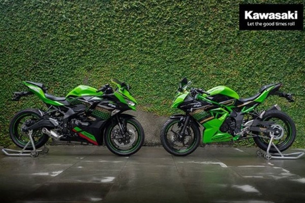 Kawasaki Ninja ZX-25R