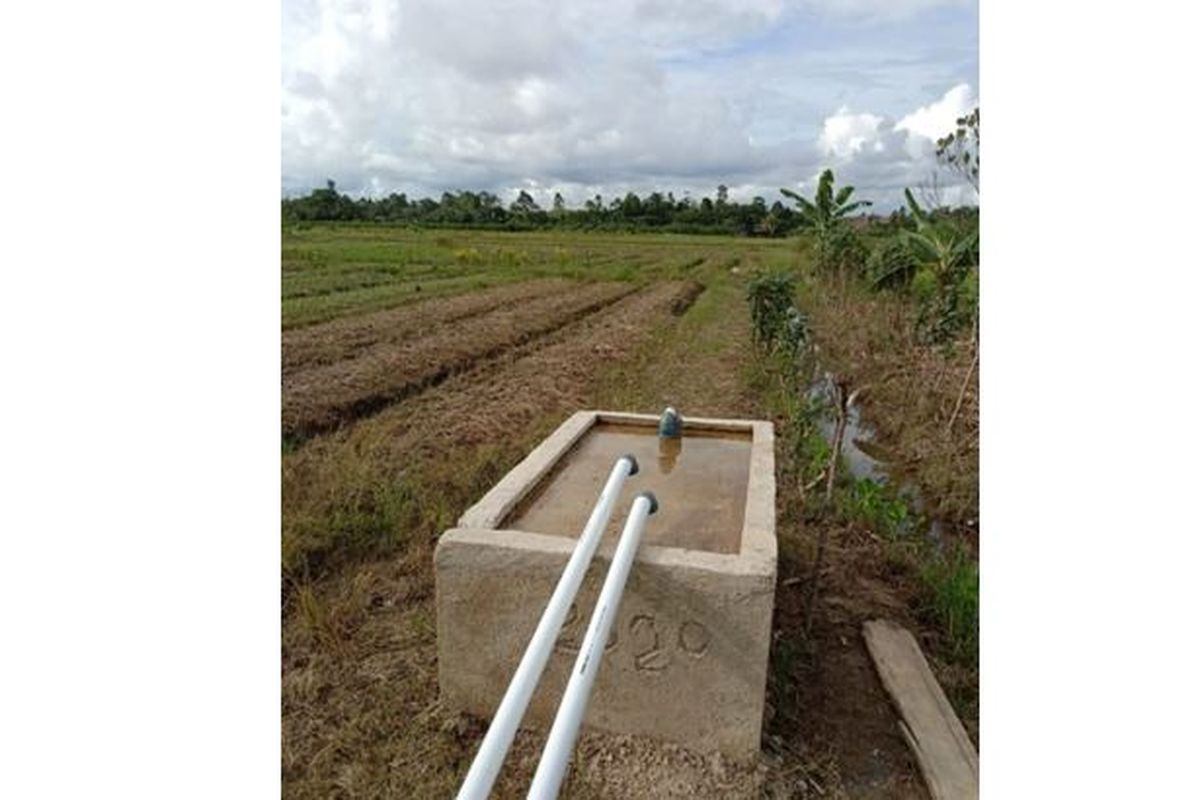 Kementerian Pertanian (Kementan) merealisasikan program irigasi perpipaan untuk Kelompok Tani Insap I di Desa Klaru, Kecamatan Mariat, Kabupaten Sorong, Papua Barat. 