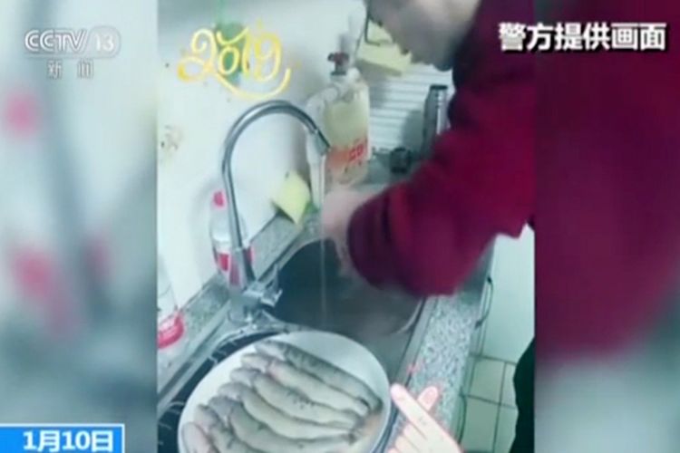 Potongan video yang viral di media sosial China memperlihatkan seorang pria mencuci ikan untuk dimasak bagi orangtuanya. Aksi mereka menuai kemarahan karena ikan itu diketahui merupakan spesies terancam punah.