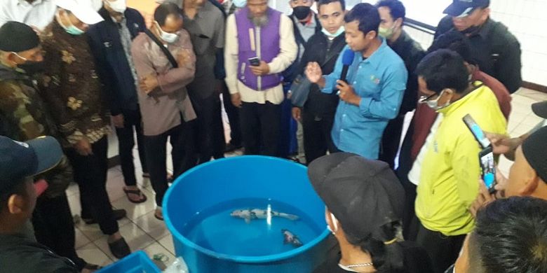 Pelatihan budidaya ikan qir tawar dengan sistem recirculating aquaculture system (RAS) yang diikuti sebanyak 1.402 peserta dari 33 Provinsi di BPPP Tegal. 